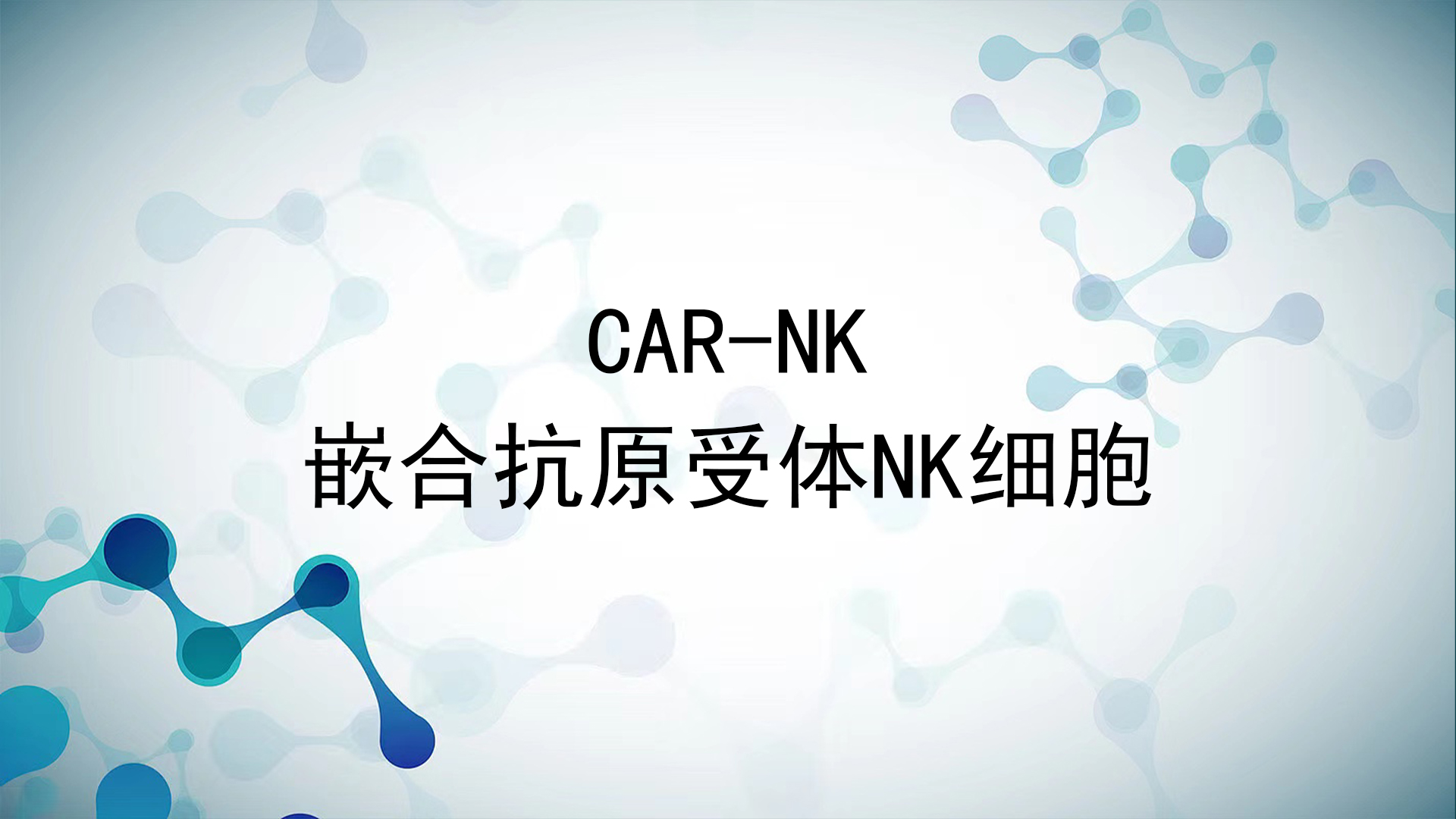 认识什么是CAR-NK细胞