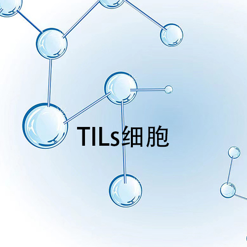 TILs细胞