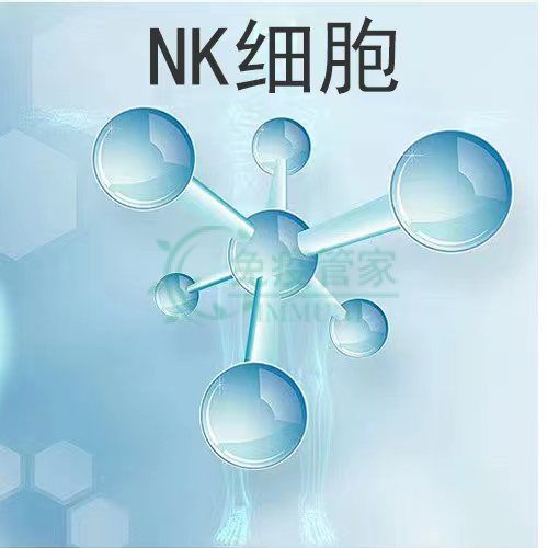癌症治疗过程中的又一重要力量——NK细胞的崛起
