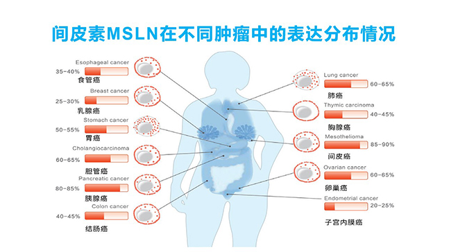 幻灯片10.jpg