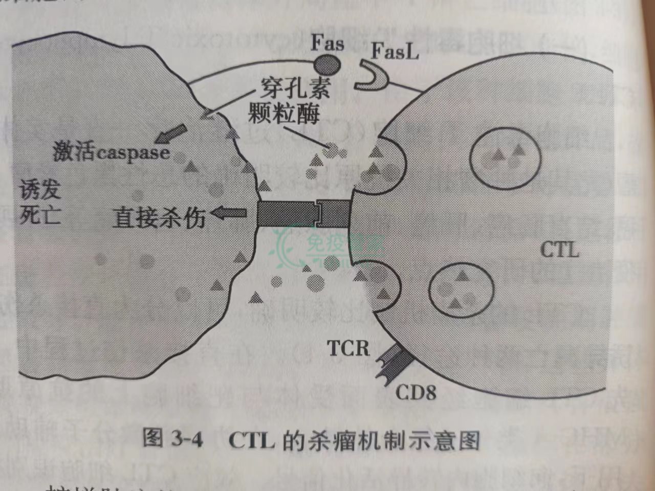 2d80c41e02399db47df969e1e281fe5.jpg