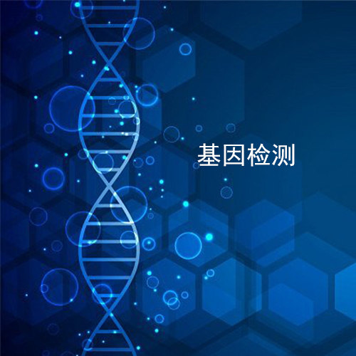 基因检测1.jpg