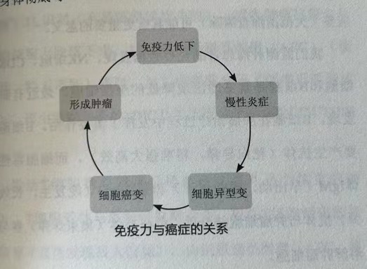 9095c40a52bd77859d61629dfa06b08.jpg
