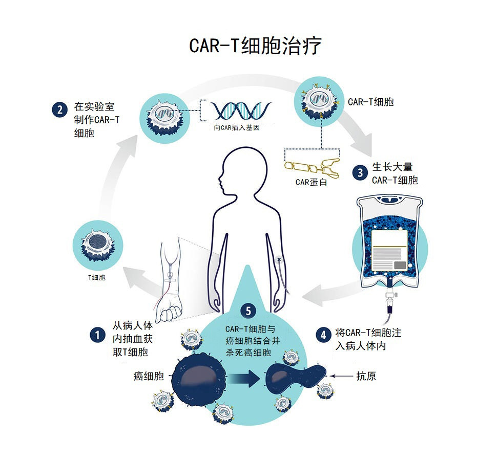 82f240ddd9302c5bddffed834d808df.png