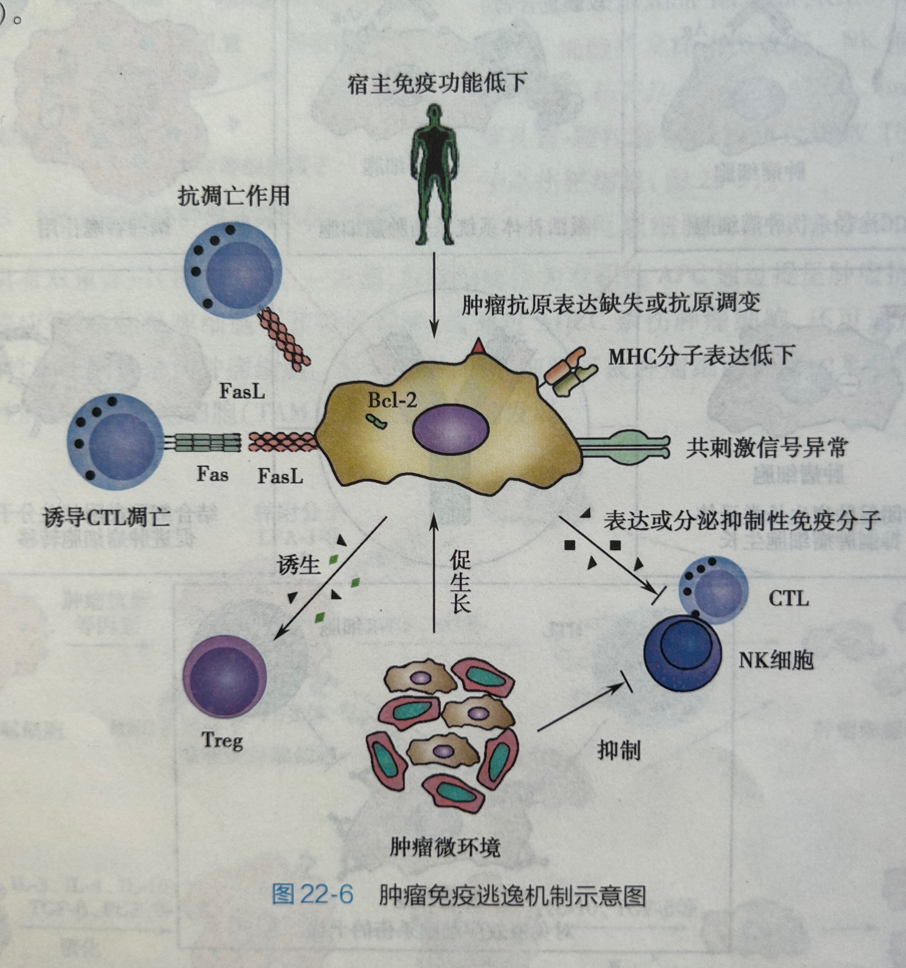 b3b667fa7716eeafbf480dcbefaab31.jpg