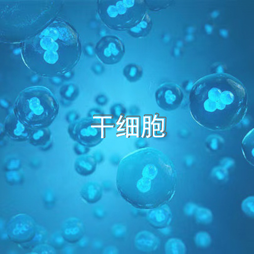 牙周组织完全恢复！糖尿病、帕金