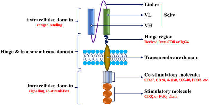 eac6bb9b55df26cfbe0ff386c6dc801.png