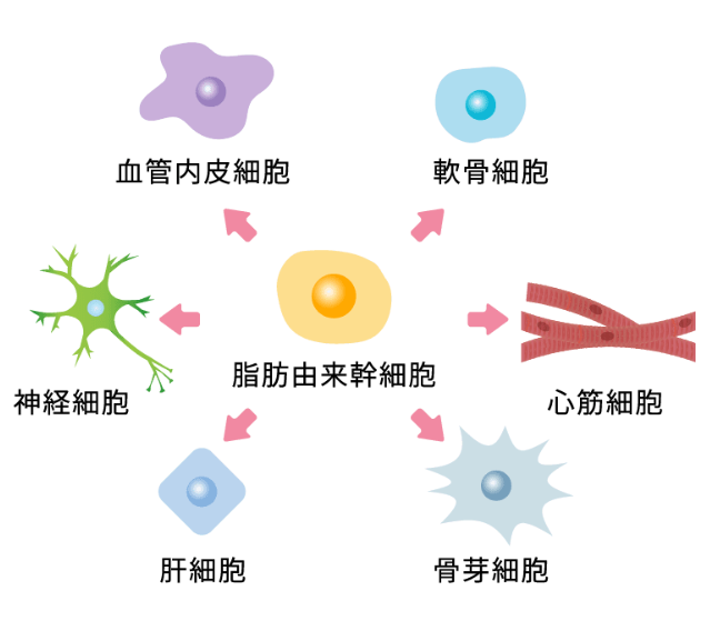 疼痛改善90%！干细胞时代来临，多种疾病的“天敌”