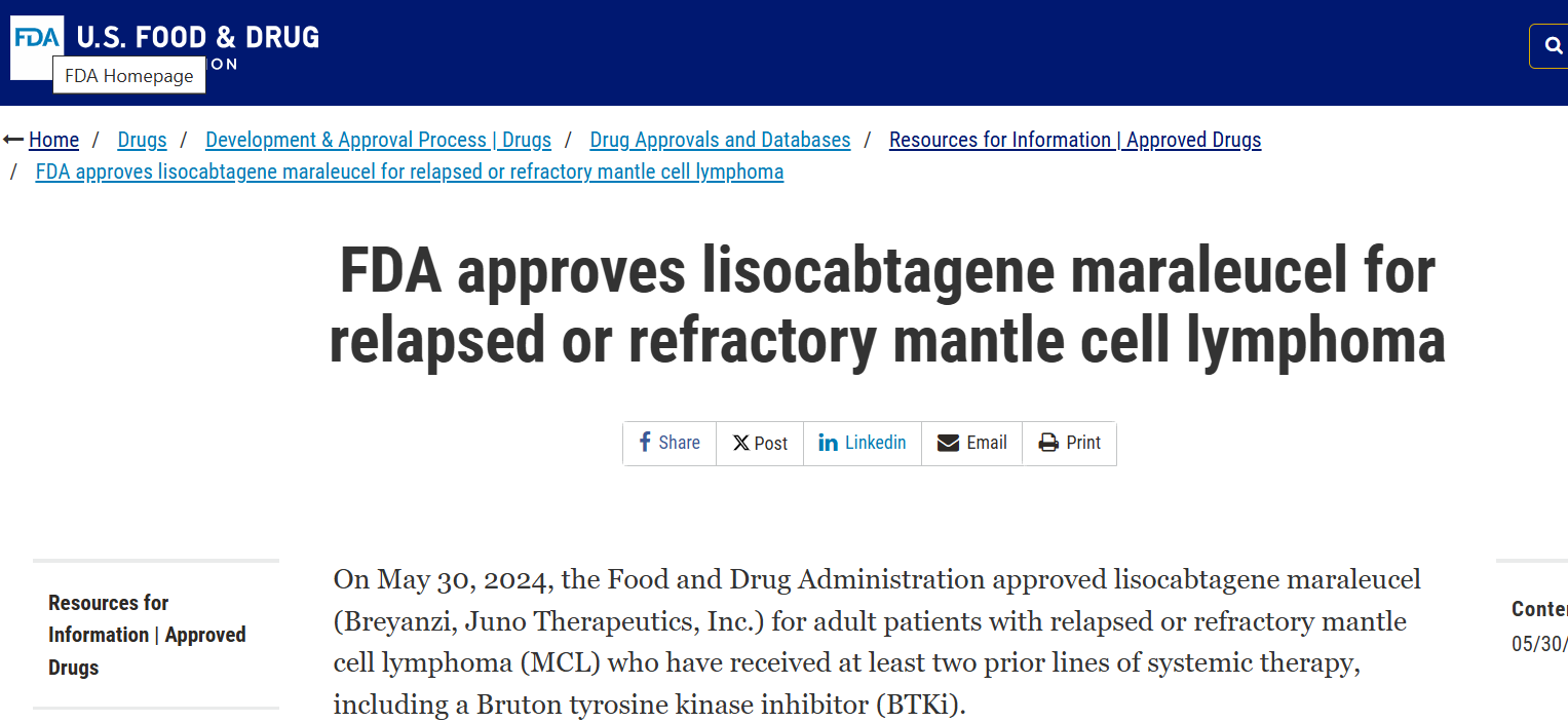 FDA 批准Breyanzi用于复发或难治性套细胞淋巴瘤