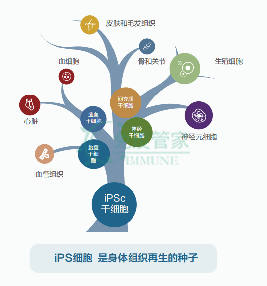 230b8cb10657e32abc8ced3870d8faa.png