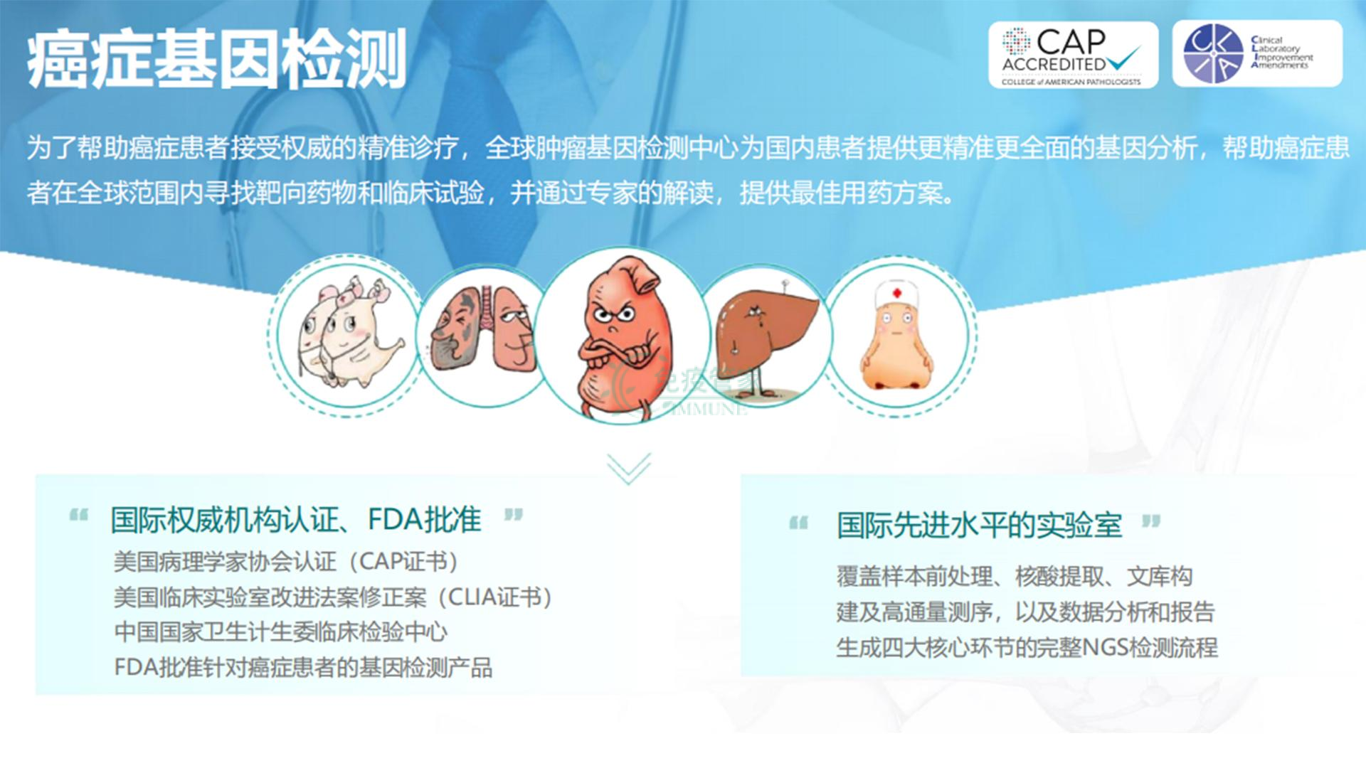 基因检测和靶向治疗的密切联系